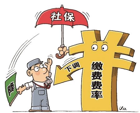 新變化！社保繳納費率下降，對線束加工廠有什么影響？