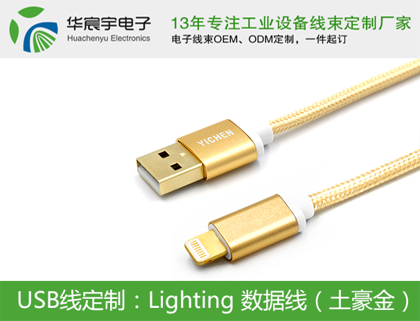 Lighting 數據線